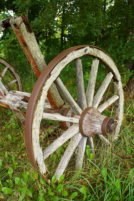 roue en bois